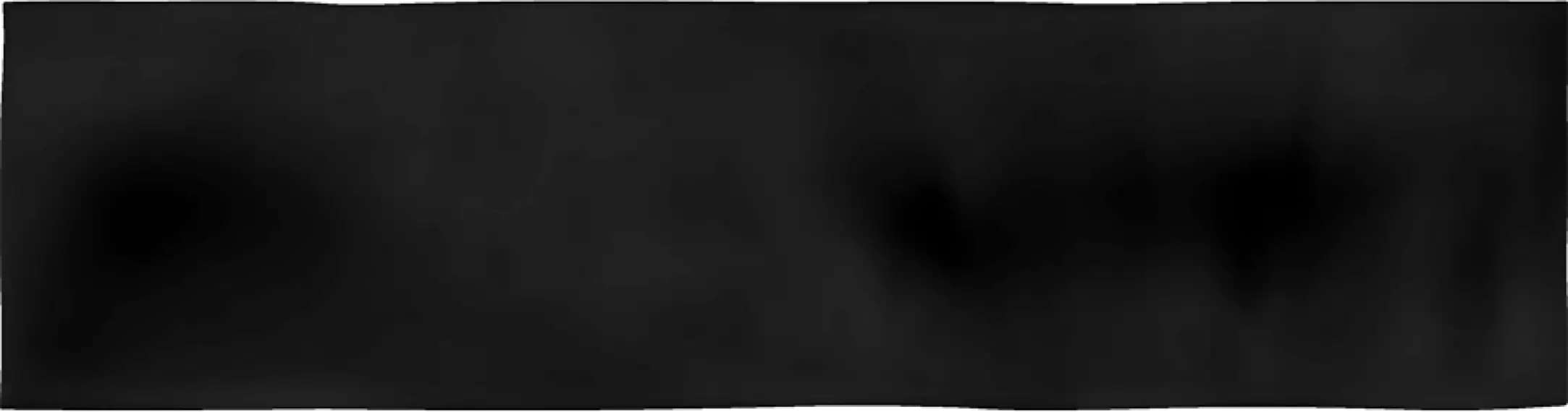 35L8 Javea AB|C Negro 8x31,5